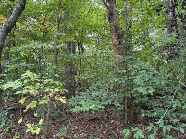 Madisonville, TN 37354,Tract 2 Fagin Road