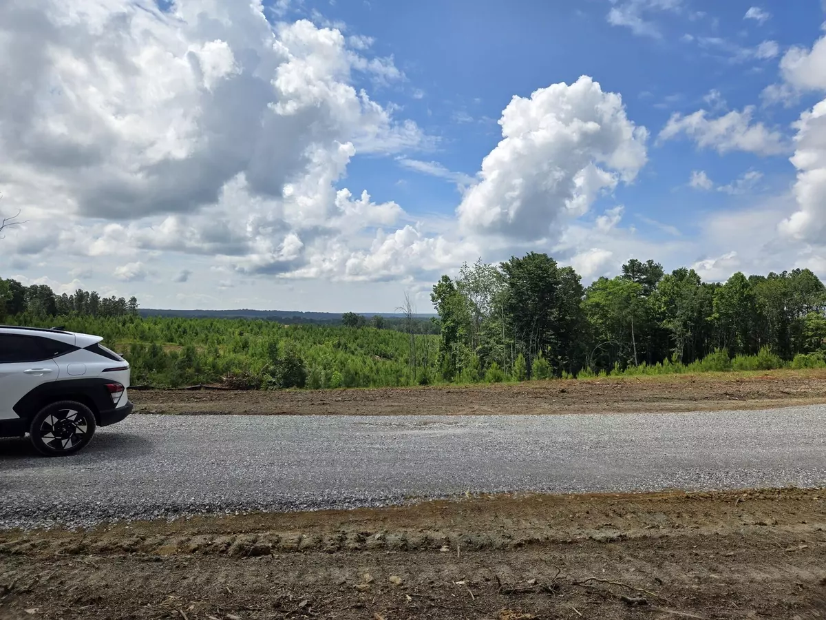 Dunlap, TN 37327,0 Saddleback RD