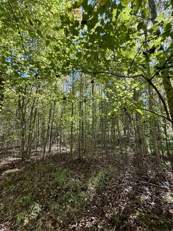 Palmer, TN 37365,0 Owl Hollow RD