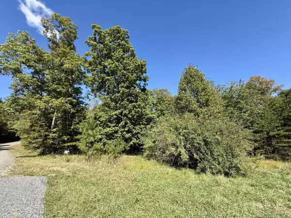 0 Owl Hollow RD, Palmer, TN 37365