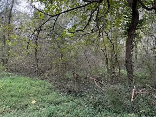 Madisonville, TN 37354,Tract 4 Fagin Road