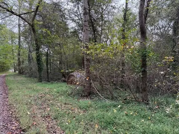 Madisonville, TN 37354,Tract 4 Fagin Road