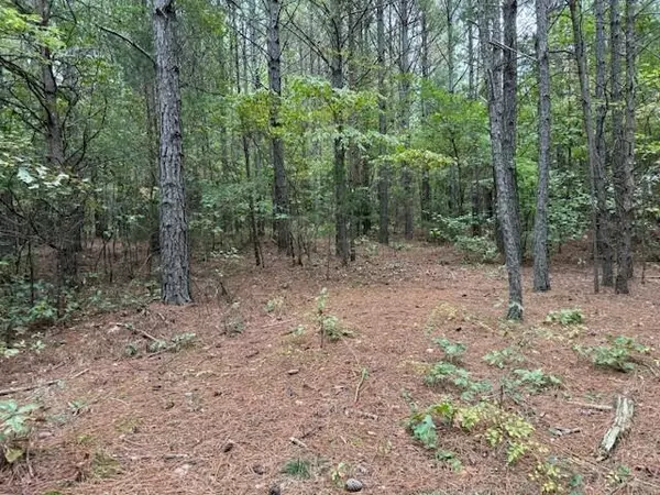 Madisonville, TN 37354,Tract 6 Fagin Road