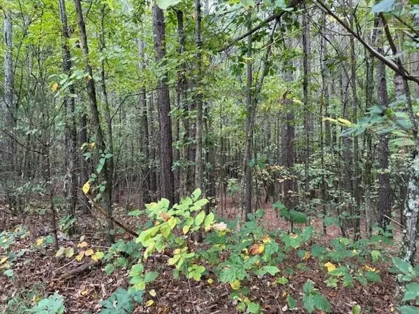 Madisonville, TN 37354,Tract 6 Fagin Road