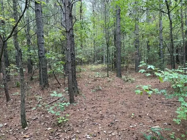 Tract 6 Fagin Road, Madisonville, TN 37354