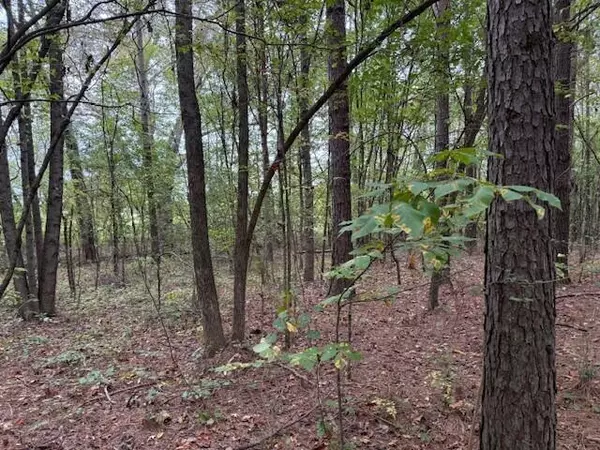 Madisonville, TN 37354,Tract 7 Fagin Road