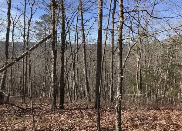 Dunlap, TN 37327,0 Chestnut Oak DR