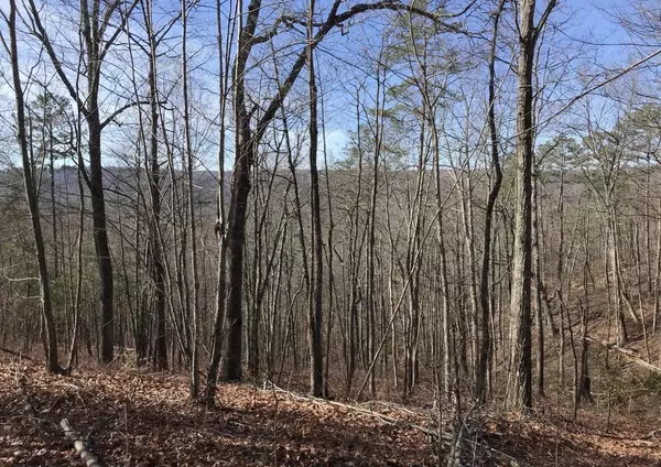 Dunlap, TN 37327,0 Chestnut Oak DR