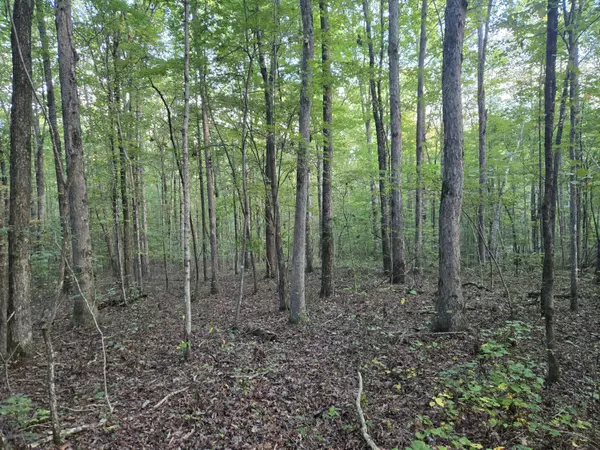 South Pittsburg, TN 37380,1 Three Forks RD