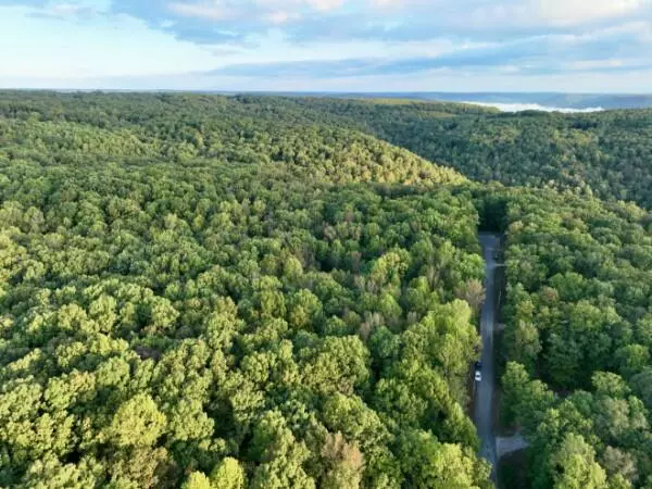 South Pittsburg, TN 37380,1 Three Forks RD