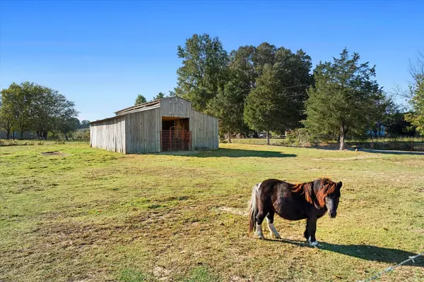 Cohutta, GA 30710,966 Emerson RD