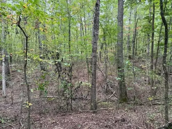 Tracy City, TN 37387,Lot 3 Tipple Road