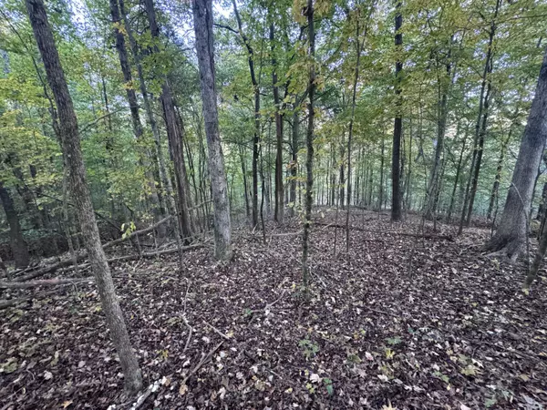 Decatur, TN 37322,00 Geren Subdivision LN