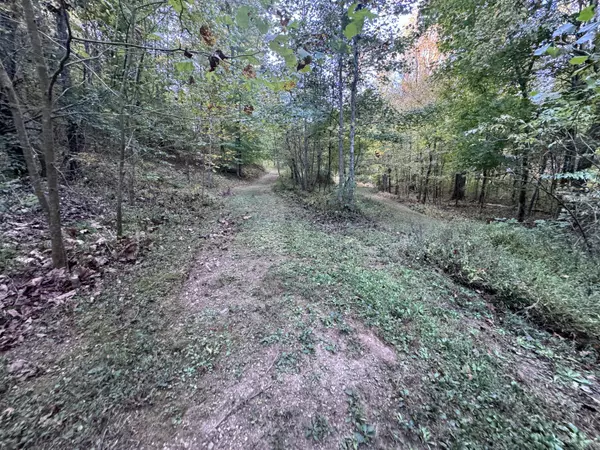 Decatur, TN 37322,00 Geren Subdivision LN