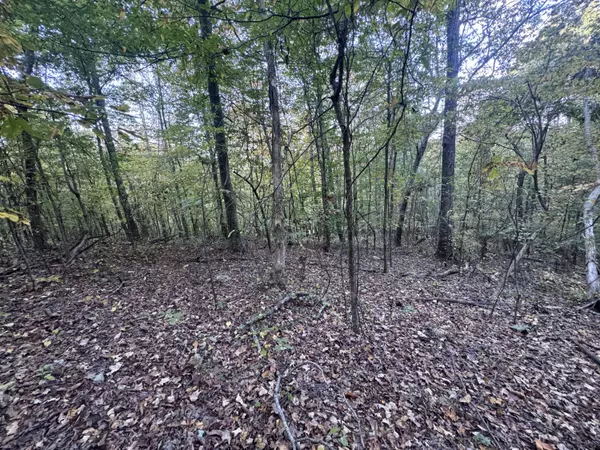 Decatur, TN 37322,000 Geren Subdivision LN