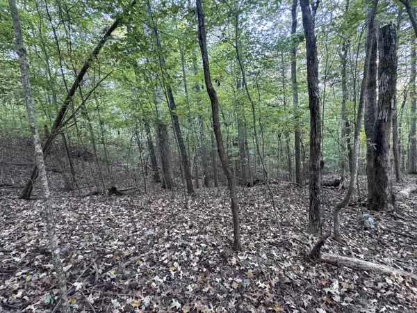 Decatur, TN 37322,000 Geren Subdivision LN