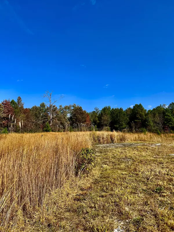 Mcdonald, TN 37353,0 Johnston RD