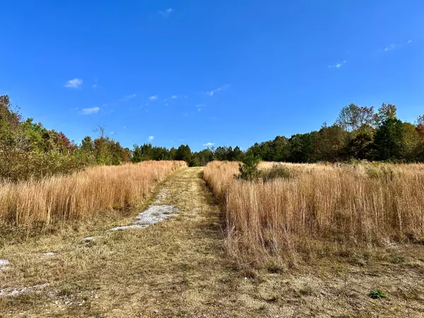 Mcdonald, TN 37353,0 Johnston RD