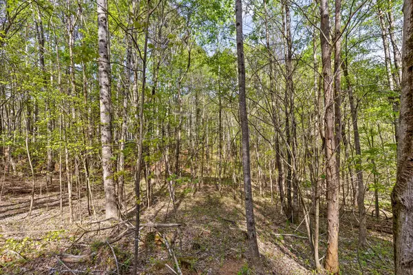 Chatsworth, GA 30705,Tract 1 Hwy 411 RD