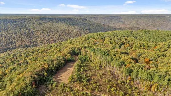 Spencer, TN 38585,N/A Westview RD