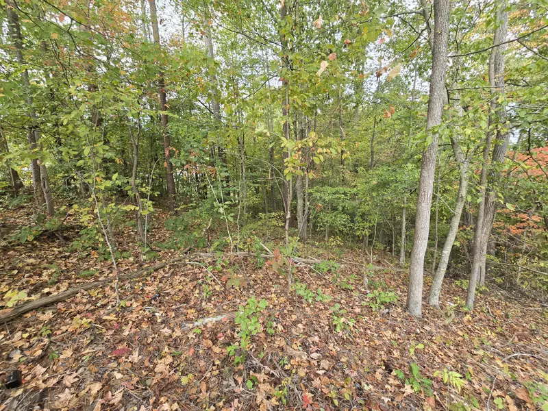 01 Headrick Southeast CIR, Dalton, GA 30721