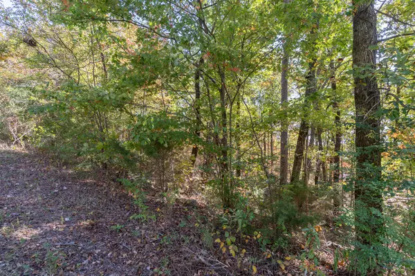 Hixson, TN 37343,7756 Rocky Ledge RD