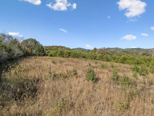 Tellico Plains, TN 37385,0 Old Sink Church RD