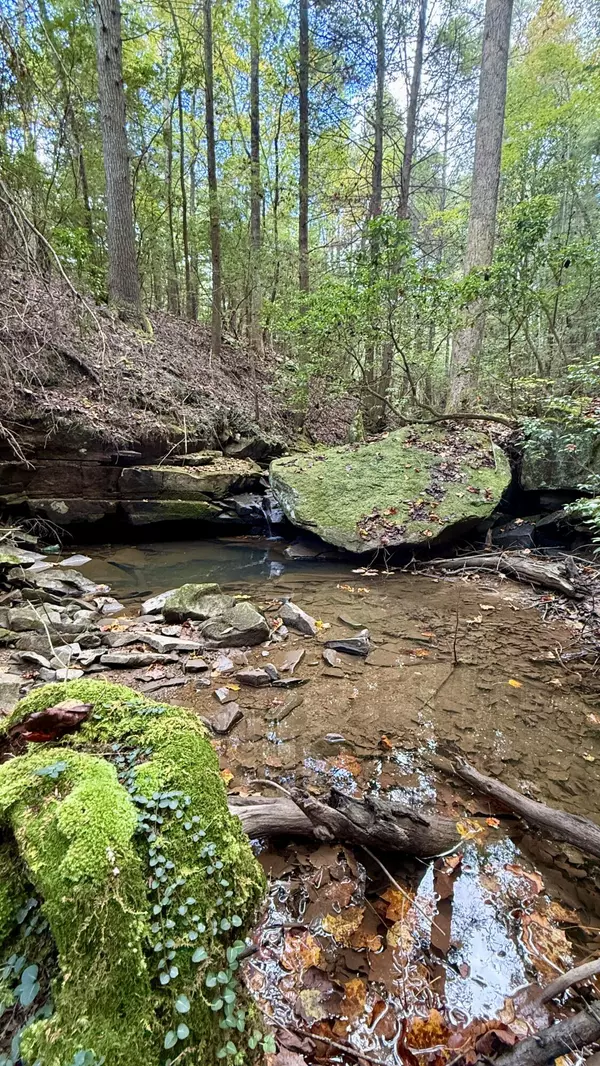 00 Braden LN, Gruetli Laager, TN 37339