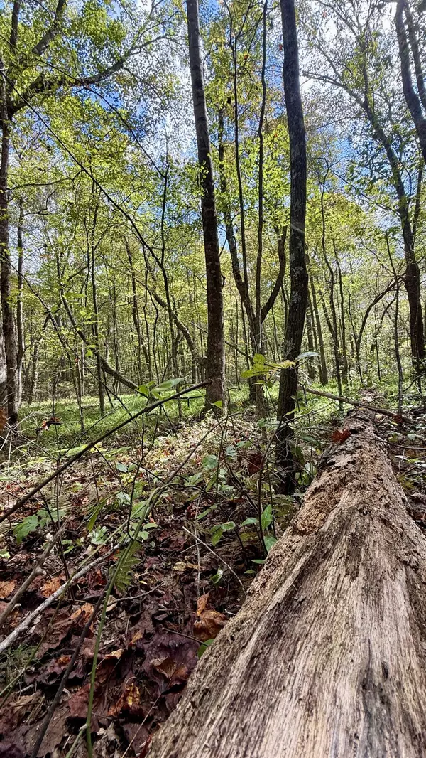 Gruetli Laager, TN 37339,00 Braden LN