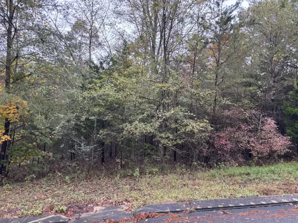 3 Countryside DR, Dunlap, TN 37327