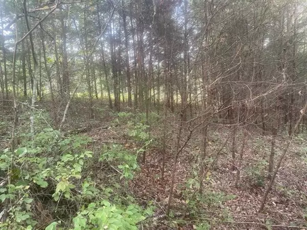 Dunlap, TN 37327,3 Countryside DR