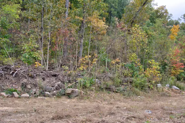 Rising Fawn, GA 30738,9984 Ga 136 HWY