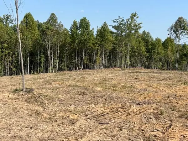 Pikeville, TN 37367,0 Otis Daivs RD