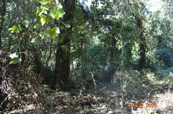 Chattanooga, TN 37411,3705 Cross ST