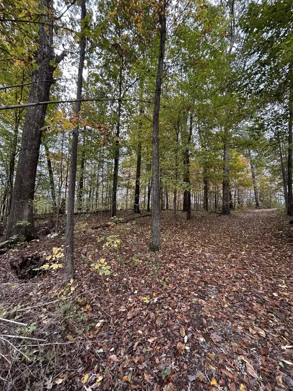 Cleveland, TN 37312,7810 N Lee HWY