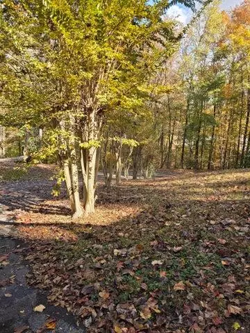 Cleveland, TN 37312,164 Moore CIR