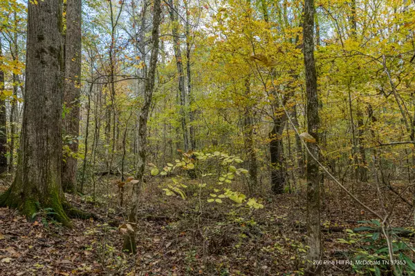 Mcdonald, TN 37353,266 Pine Hill RD
