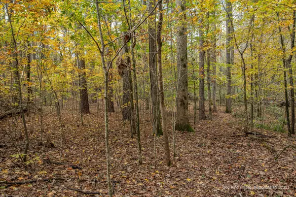 Mcdonald, TN 37353,266 Pine Hill RD