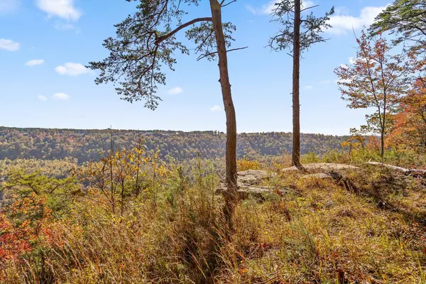 Jasper, TN 37347,0 Crockett Pointe