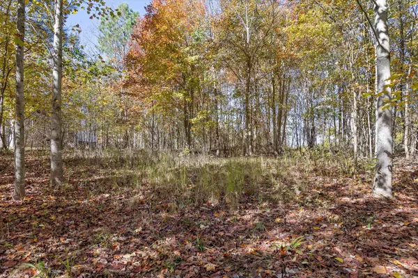 Jasper, TN 37347,0 Crockett Pointe