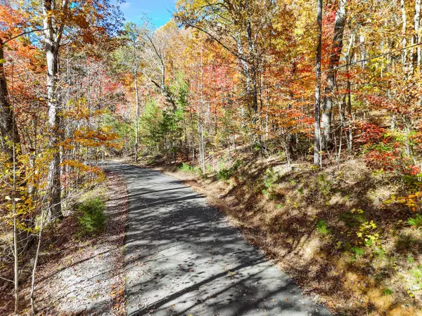 Dunlap, TN 37327,Lot 202 Deep Woods DR
