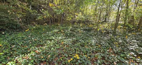 Rossville, GA 30741,408 Hollywood DR