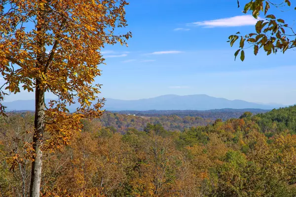 Lookout Mountain, TN 37350,100 Scenic HWY