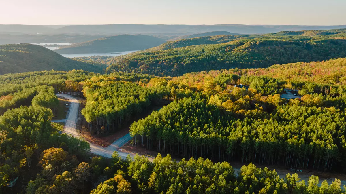 Guild, TN 37340,1147 Topo DR