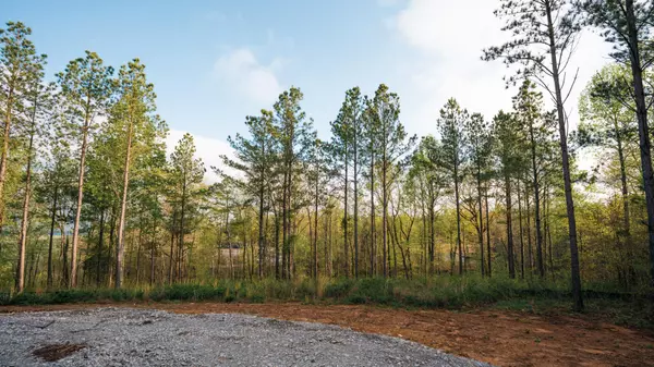 Guild, TN 37340,1147 Topo DR