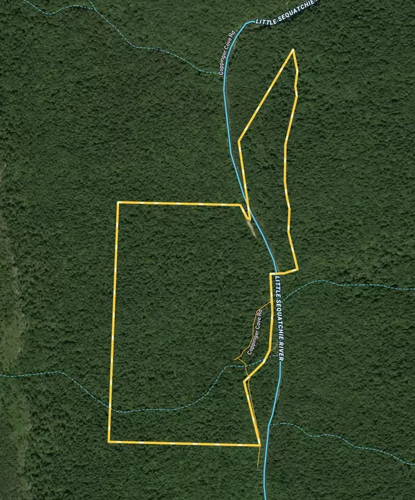 Sequatchie, TN 37374,3895 Coppinger Cove RD