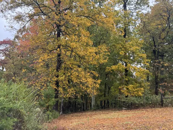 Dunlap, TN 37327,188 Hitchcock RD