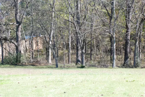 Ringgold, GA 30736,Lot 79 Morning Glory DR