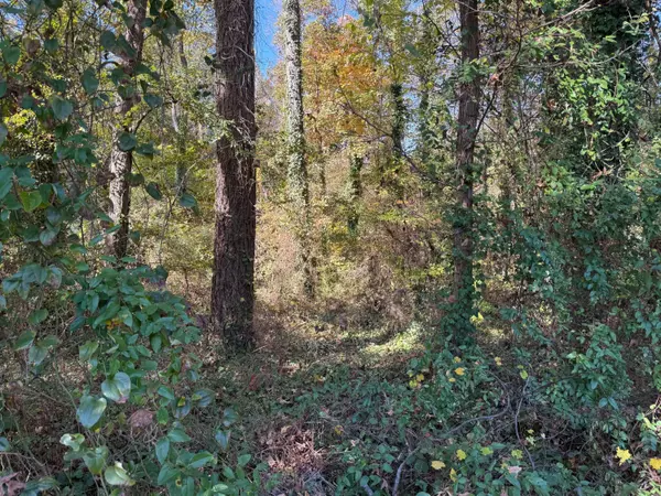 Lawrenceville, GA 30044,3285 Lake DR