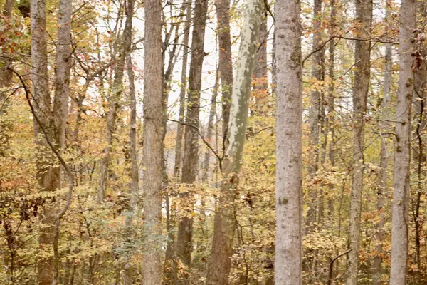 Soddy Daisy, TN 37379,13768 Dell DR